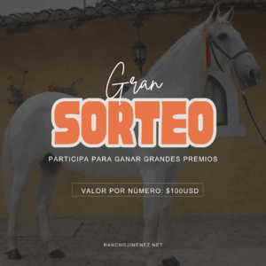 Loteria Gana un caballo